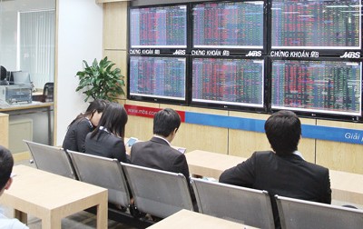 Năm 2014 TTCK sẽ tăng trưởng tốt hơn 2013